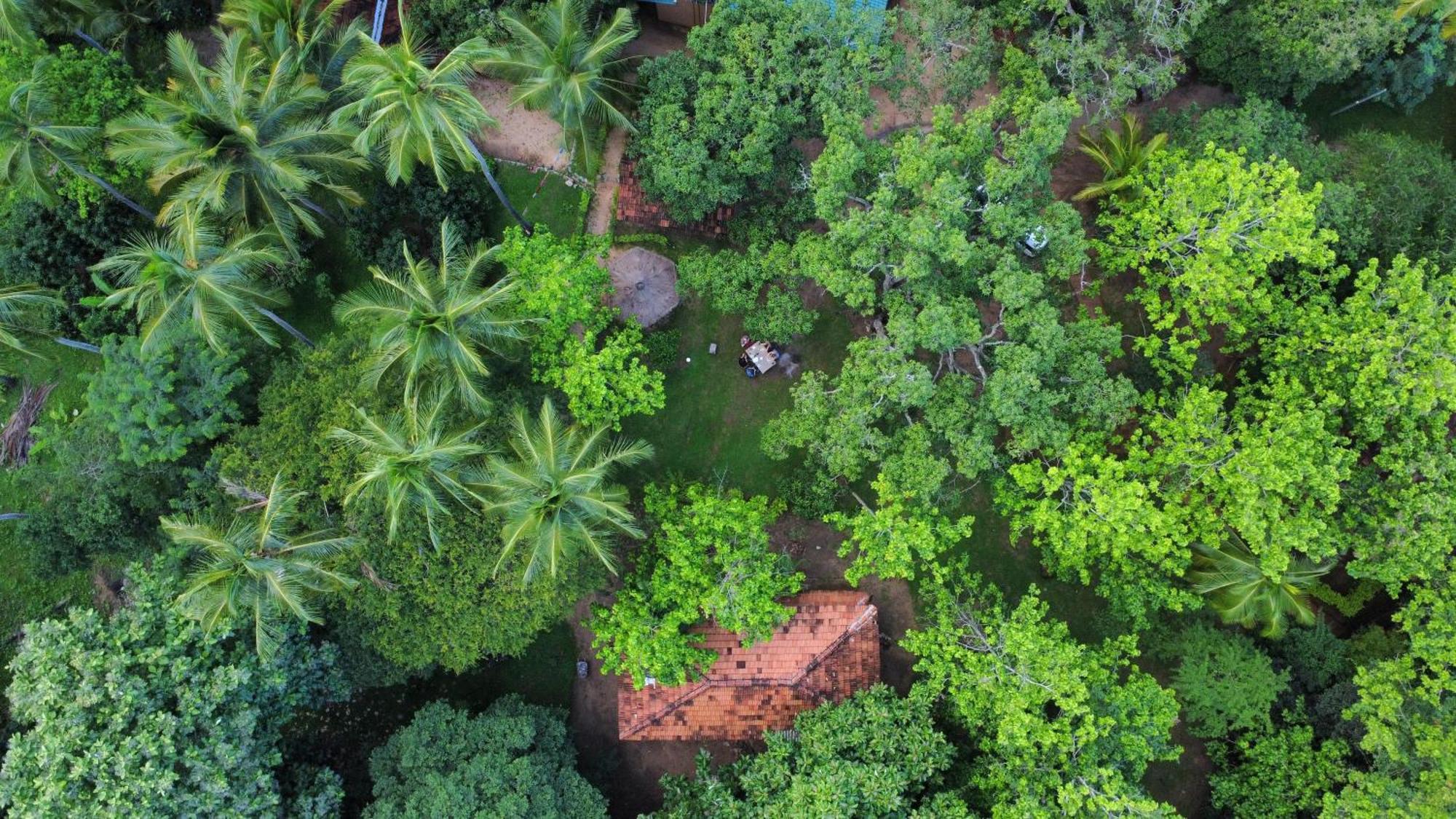 Eco Village Kalundewa Dambulla Exterior foto